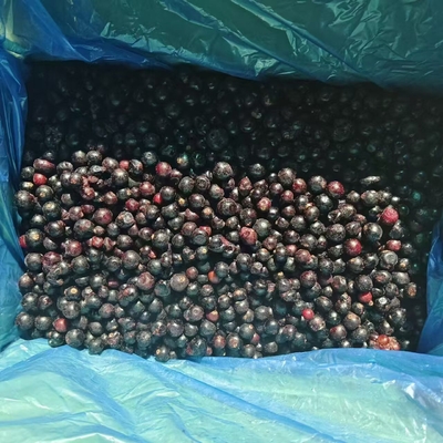 Delicious Frozen Fruit 100% Black Currant for Your s Identity