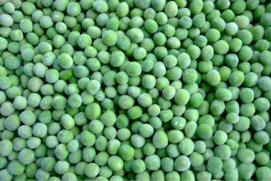 Wholesale IQF Peas Premium Quality Frozen Green Peas 10kg Frozen Green Peas