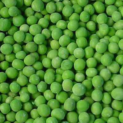 Wholesale IQF Peas Premium Quality Frozen Green Peas 10kg Frozen Green Peas