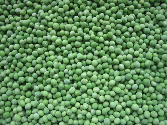 Wholesale IQF Peas Premium Quality Frozen Green Peas 10kg Frozen Green Peas