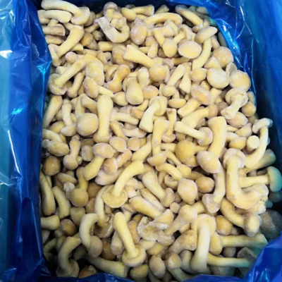 Wild Cultivated Organic Mushrooms Healthy Natural Nutritious Fresh Whole Frozen Mushroom IQF Frozen Nameko