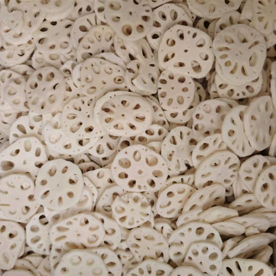 New Crop Frozen Lotus Root Slices or Cut at Good Price