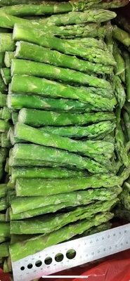 Get the Best Frozen Vegetable for Your Business Needs Green Asparagus