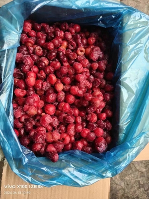 Find the Best Frozen Fruit for Your Business and Affordable Solution Sweetcherry