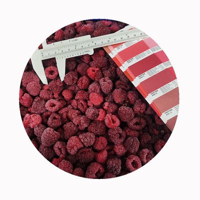 High Quality Fresh Frozen Raspberry Handpicked for Sweet Taste for Juices Desserts Milkshakes