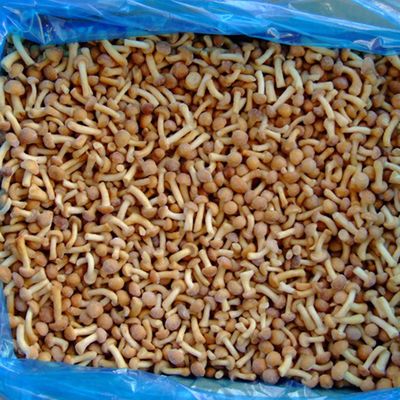 Dondurulmuş Meyveler Dondurulmuş Mantar IQF Dondurulmuş Nameko