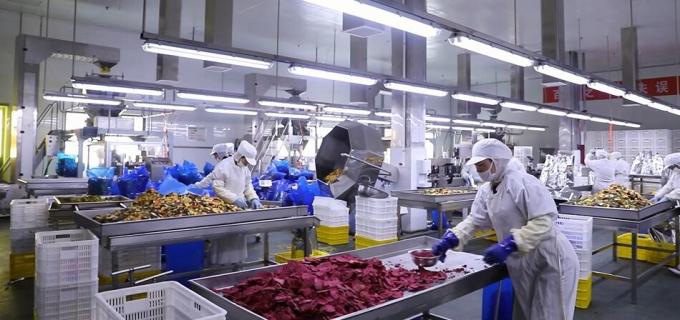 Y&uuml;ksek Kaliteli Dondurulmuş Ahududu Toplu Dondurulmuş Ahududu Toplu Paketleme Meyve 9