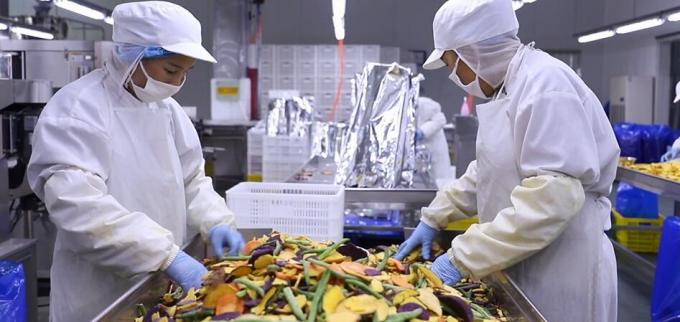 Y&uuml;ksek Kaliteli Dondurulmuş Ahududu Toplu Dondurulmuş Ahududu Toplu Paketleme Meyve 10