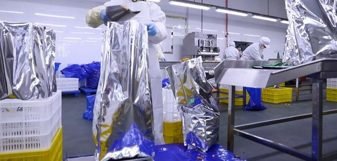 Y&uuml;ksek Kaliteli Dondurulmuş Ahududu Toplu Dondurulmuş Ahududu Toplu Paketleme Meyve 11