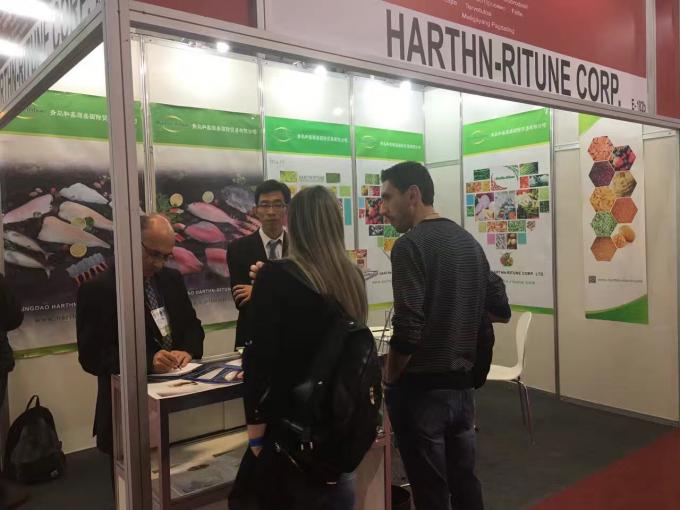 Y&uuml;ksek Kaliteli Dondurulmuş Ahududu Toplu Dondurulmuş Ahududu Toplu Paketleme Meyve 19