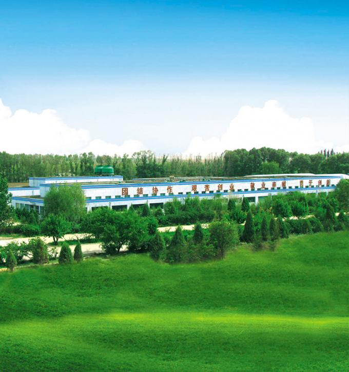 Sinocharm 4 Yıldızlı &Uuml;r&uuml;n BRC-A Taze Sarı Şeftali 10x10mm Dondurulmuş Dişli Meyveler K&uuml;pler IQF Sarı Şeftali Dişleri 8