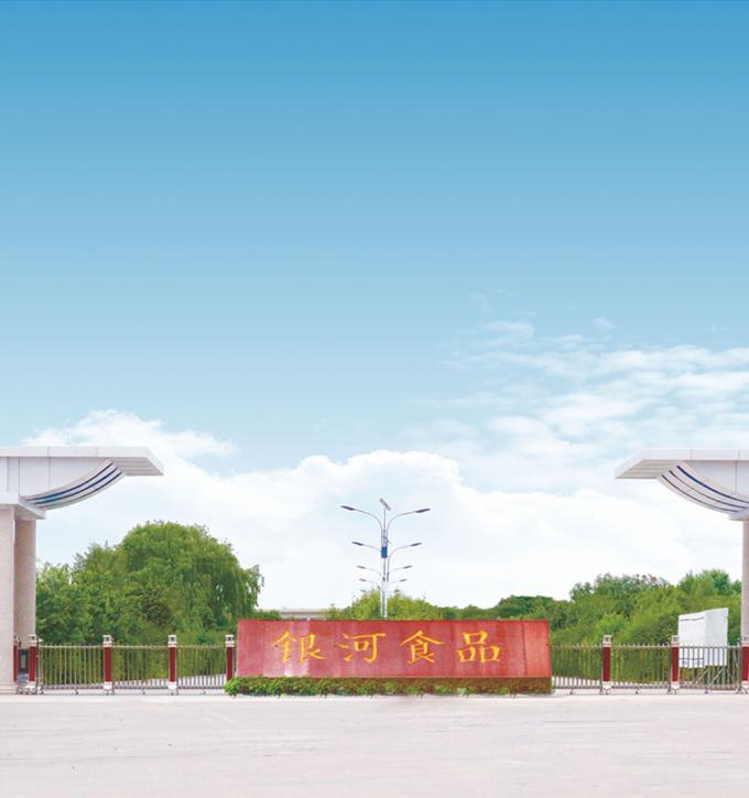 Sinocharm 4 Yıldızlı &Uuml;r&uuml;n BRC-A Taze Sarı Şeftali 10x10mm Dondurulmuş Dişli Meyveler K&uuml;pler IQF Sarı Şeftali Dişleri 9