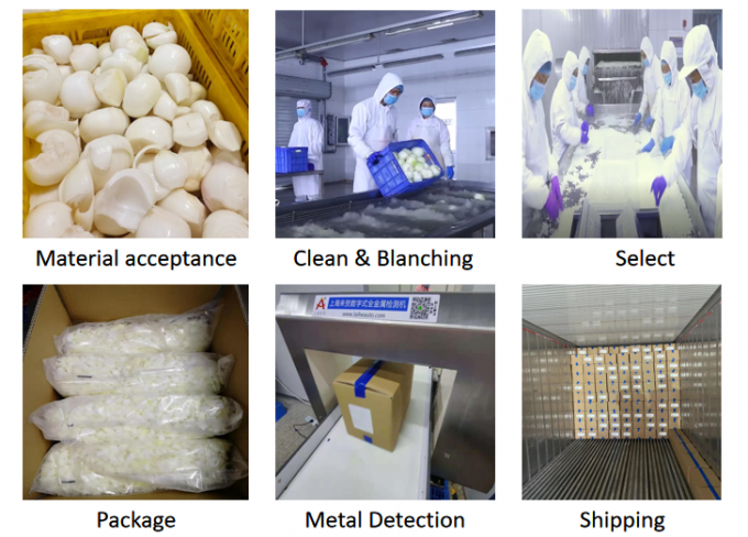 Toplu Toptan Brc Sertifikalı Iqf Dondurulmuş Soğan K&uuml;pleri Beyaz Soğan 0