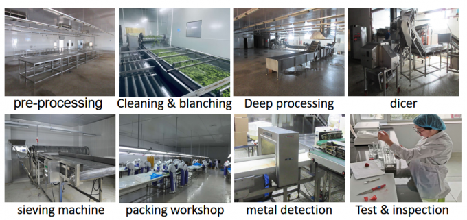 &Ccedil;in Tedariki En İyi Kalite İyi Fiyat Iqf Dondurulmuş Sebze B&uuml;t&uuml;n Bamya 8