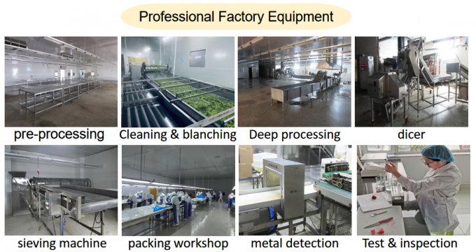 İhracat i&ccedil;in Sırbistan'dan &Uuml;retici Fabrika Fiyatı IQF Y&uuml;ksek Kaliteli Taze Gıda Dondurulmuş Ahududu 6