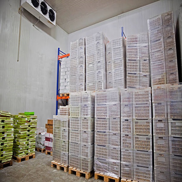 Ucuz Fiyat En İyi Kalite D&uuml;ş&uuml;k Yağlı Temiz HELAL Onaylı Dondurulmuş Kuzu Ciğeri 3