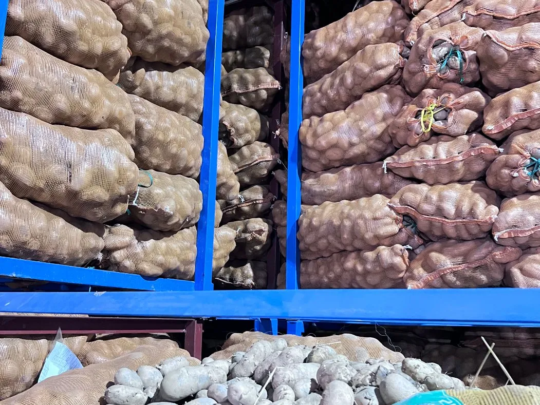Dondurulmuş düz kesilmiş patates kızartmasının yüklenmesi ve zamanında teslim edilmesi 0