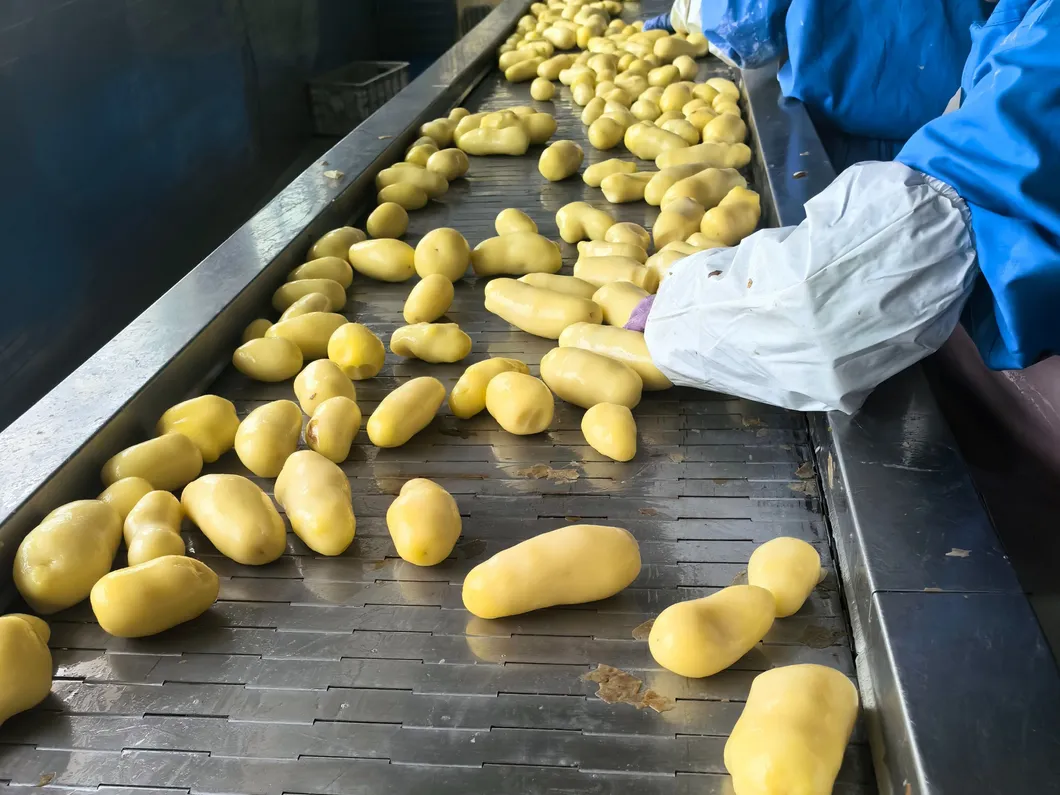 Dondurulmuş düz kesilmiş patates kızartmasının yüklenmesi ve zamanında teslim edilmesi 1