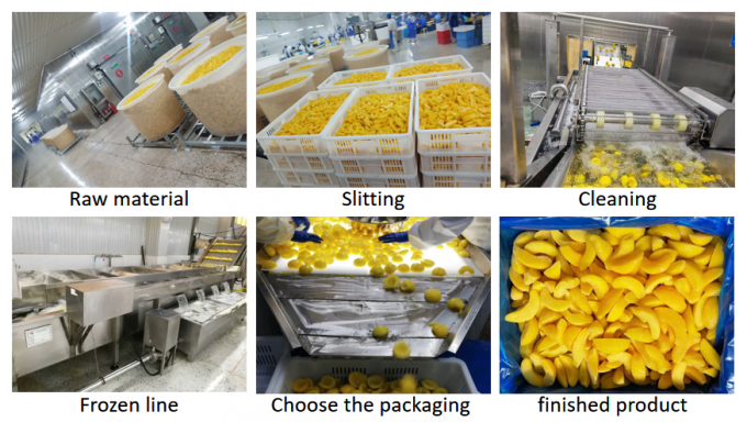 Y&uuml;ksek Kalite 10KG Toplu Dondurulmuş Sarı Şeftali Yarımları - Konserve ve İhracat Kullanımı İ&ccedil;in İdeal 3