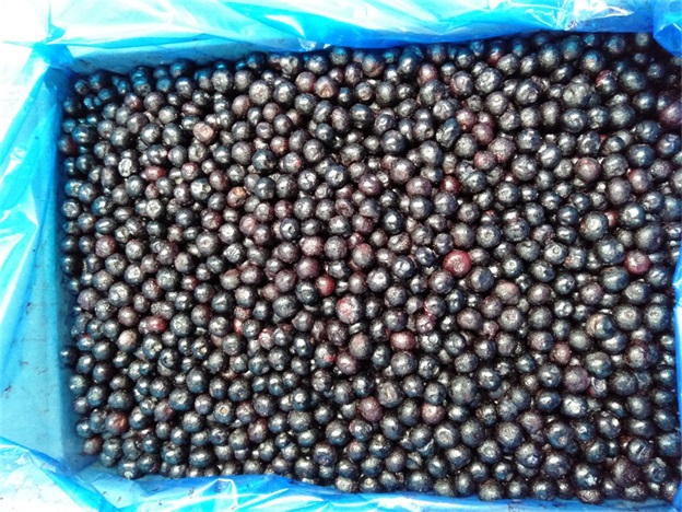 IQF Dondurulmuş B&uuml;t&uuml;n Yaban Mersini Premium Fırın ve Smoothie &Uuml;st Malzemeleri Yoğun 2