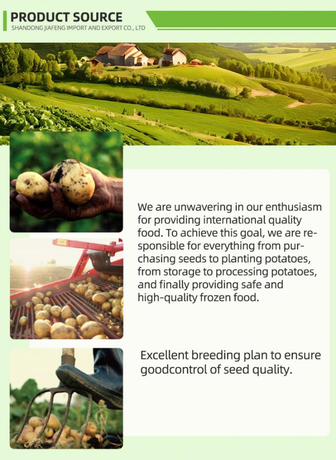 Otomatik Dondurulmuş Fransız Patatesleri Dondurulmuş Fransız Patatesleri Organik IQF Fransız Patatesleri Toplu Paketleme 10 Kg Taze Malzeme 1