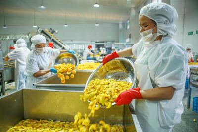 IQF Organik Sarı Şeftali Yarım Dilimleri Dondurulmuş Meyveler Tatlı Lezzet Toplu Paketlenmiş Korunmuş Su P&uuml;resi B&uuml;t&uuml;n K&uuml;pler K&uuml;p Doğranmış Yarım Dilim Mevcut 8