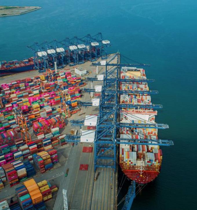 IQF Organik Sarı Şeftali Yarım Dilimleri Dondurulmuş Meyveler Tatlı Lezzet Toplu Paketlenmiş Korunmuş Su P&uuml;resi B&uuml;t&uuml;n K&uuml;pler K&uuml;p Doğranmış Yarım Dilim Mevcut 13