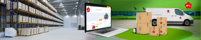 Toptan ve Perakende Satış İ&ccedil;in Y&uuml;ksek Kaliteli IQF Dondurulmuş Kayısı Yarısı Sıcak Satış Fabrika Fiyatı Su Koruma Toplu Paketleme 1