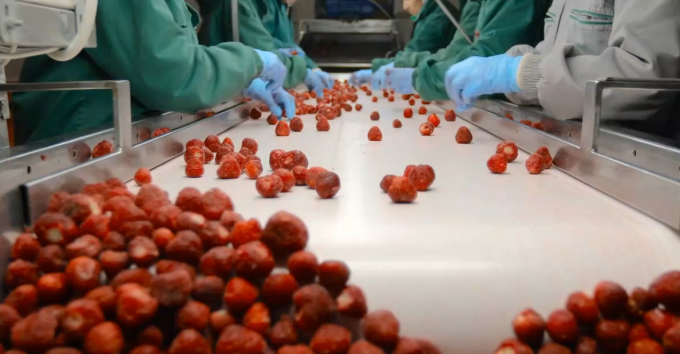 Toptan ve Perakende Satış İ&ccedil;in Y&uuml;ksek Kaliteli IQF Dondurulmuş Kayısı Yarısı Sıcak Satış Fabrika Fiyatı Su Koruma Toplu Paketleme 3