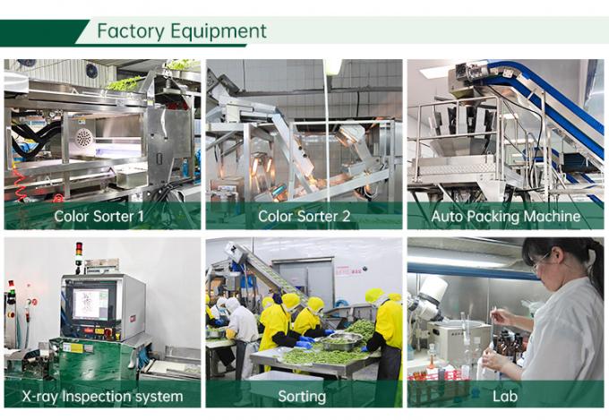 Y&uuml;ksek Brix'li B&ouml;ğ&uuml;rtlen Meyveleri IQF Dondurulmuş B&ouml;ğ&uuml;rtlen Suyu, Re&ccedil;el ve Topping İ&ccedil;in 4