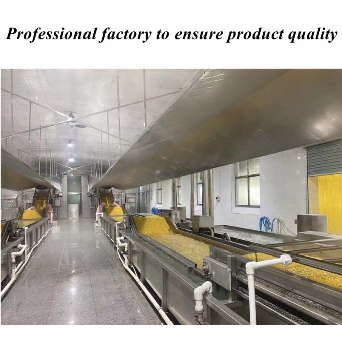 Y&uuml;ksek Kalite Rekabet&ccedil;i Fiyat Dondurulmuş Mısır Tatlı mısır &ccedil;ekirdekleri Organik GMO olmayan Toplu Paketleme 1