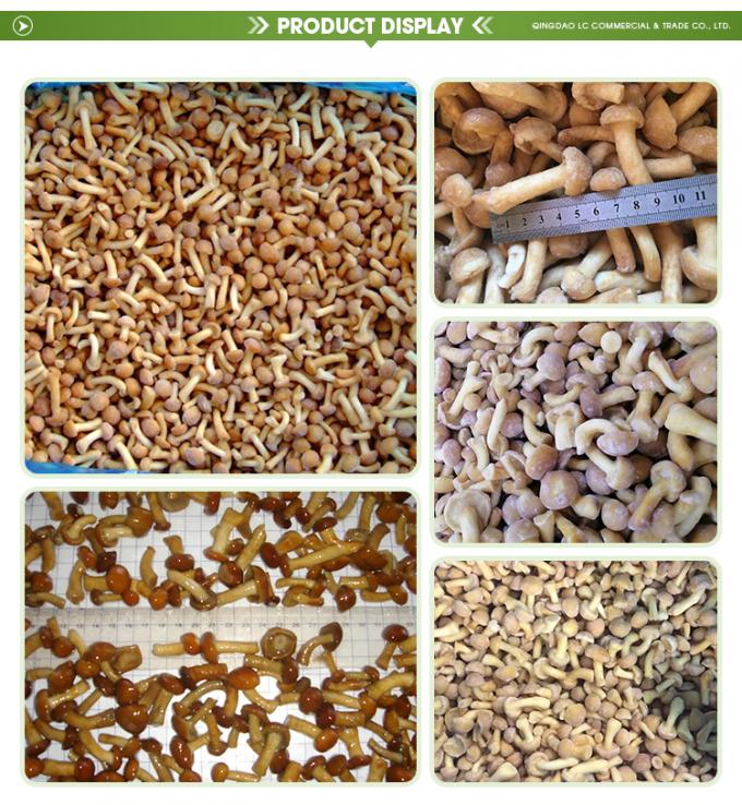 Vahşi Tarımlı Organik Mantar Sağlıklı Doğal Besleyici Taze T&uuml;m Dondurulmuş Mantar IQF Dondurulmuş Nameko 1