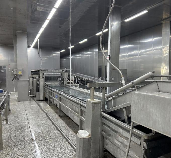 Sinocharm HELAL KOŞER Taze 4*4mm &Ccedil;in IQF K&uuml;p Doğranmış Zencefil Tedarik&ccedil;isi 1kg Dondurulmuş Zencefil Baharat İ&ccedil;in 5