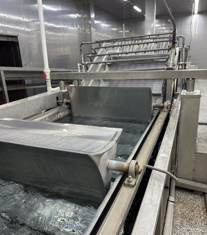 Sinocharm HELAL KOŞER Taze 4*4mm &Ccedil;in IQF K&uuml;p Doğranmış Zencefil Tedarik&ccedil;isi 1kg Dondurulmuş Zencefil Baharat İ&ccedil;in 8