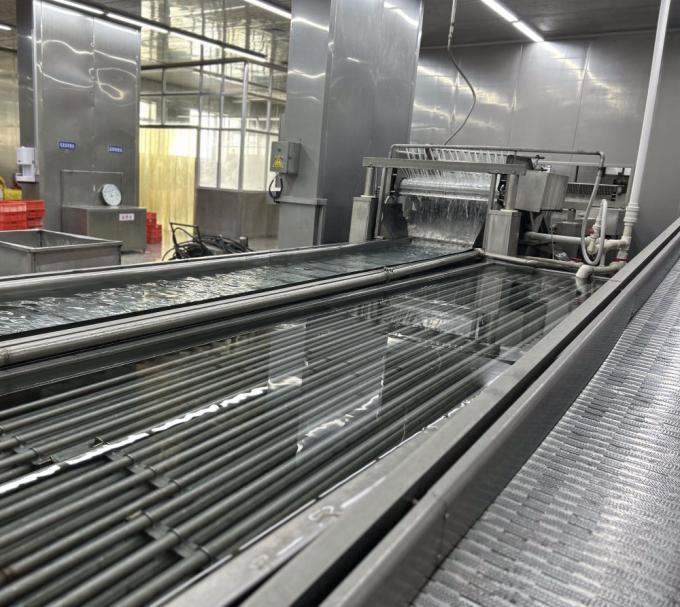 Sinocharm HELAL KOŞER Taze 4*4mm &Ccedil;in IQF K&uuml;p Doğranmış Zencefil Tedarik&ccedil;isi 1kg Dondurulmuş Zencefil Baharat İ&ccedil;in 9