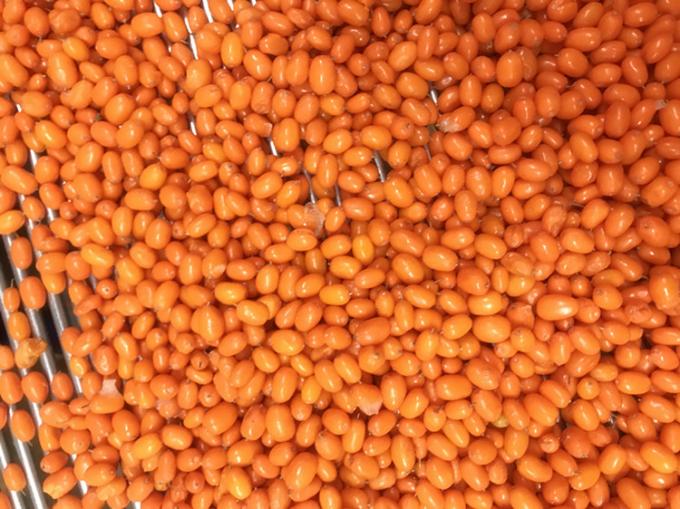 Menşei &Ccedil;in IQF Taze Dondurulmuş Yabani Deniz İğdesi Birinci Sınıf Deniz İğdesi Kızılcık Ahududu, Yaban Mersini Karışık Meyveler 2