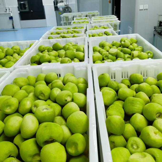 Kiwi Meyve Dondurulmuş Meyve Dondurulmuş Kiwi Top Kalite Doğal 3