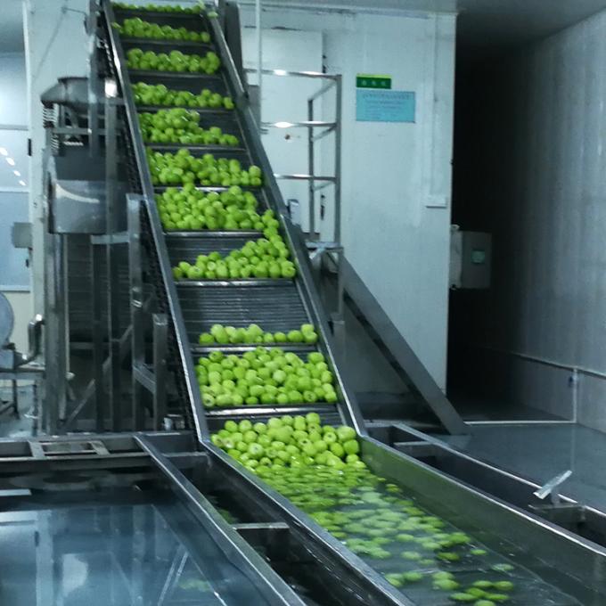 Kiwi Meyve Dondurulmuş Meyve Dondurulmuş Kiwi Top Kalite Doğal 6