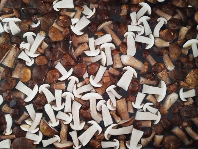 Dondurulmuş Mantarlar IQF BOLETUS EDULIS A Kalite 24 Ay Raf &Ouml;mr&uuml; ISO HACCP BRC KOSHER HELAL Sertifikalı 10 ton MOQ 0