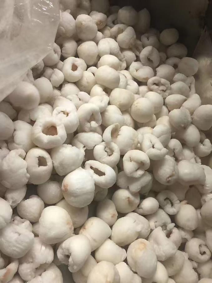 Dondurulmuş Toplu Kaldırılmış Li&ccedil;i Toplu Karton Paketleme IQF Tatlı Tadlı Li&ccedil;i Meyveleri Mangolu Konserve Meyveler T&uuml;r&uuml; 3