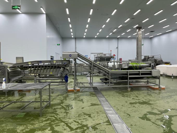 Y&uuml;ksek Kaliteli Taze Dondurulmuş Ahududu Meyve Meyveleri Meyve Meyveleri S&uuml;sleri S&uuml;sler Şekerler 9