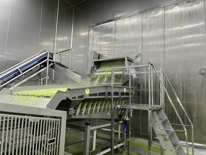 Y&uuml;ksek Kaliteli Taze Dondurulmuş Ahududu Meyve Meyveleri Meyve Meyveleri S&uuml;sleri S&uuml;sler Şekerler 10