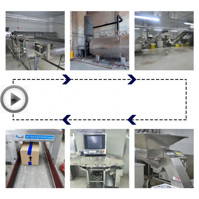 En İyi Kaliteli Dondurulmuş İstiridye Mantarı Toptan Yeni Mahsul IQF İstiridye Mantarı Kesimleri 3
