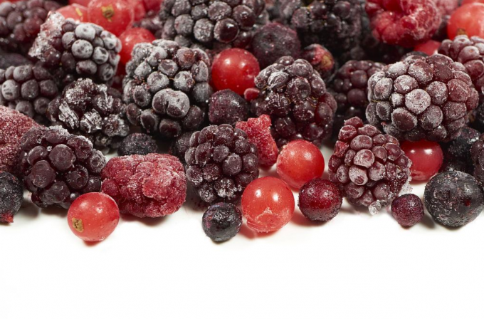 Taze IQF Dondurulmuş Karışık Orman Meyveleri B&ouml;ğ&uuml;rtlen &Ccedil;ilek Ahududu Yaban Mersini B&ouml;ğ&uuml;rtlen &Ccedil;ilek Tarzı 1