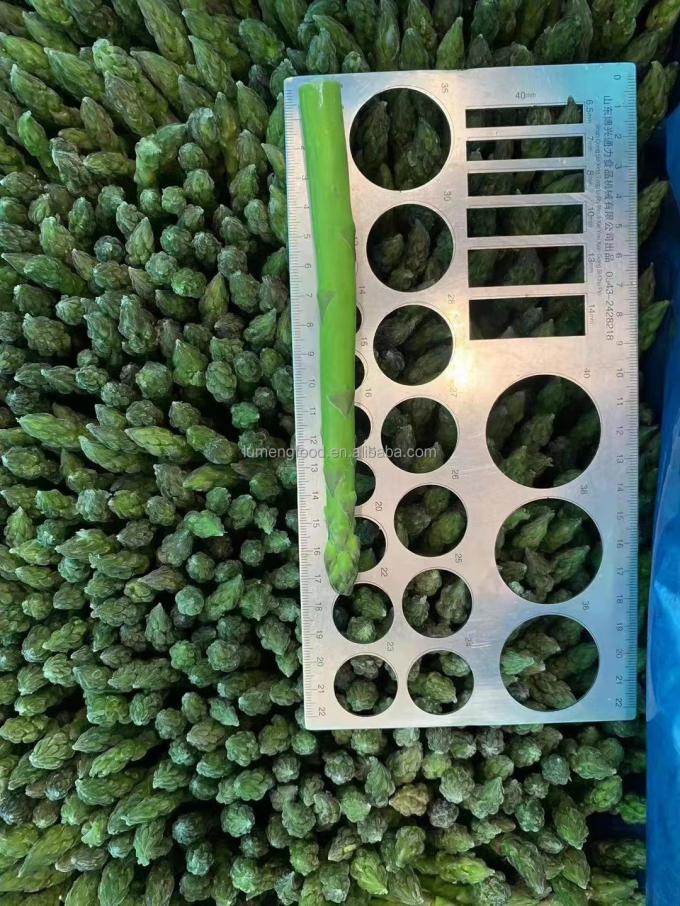 Fabrika Sertifikalı Kaliteli &Uuml;retim IQF Dondurulmuş Kuşkonmaz 6