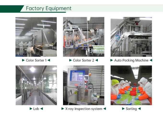 IQF Dondurulmuş karışık sebzeler Taze karışık sebzeler 6