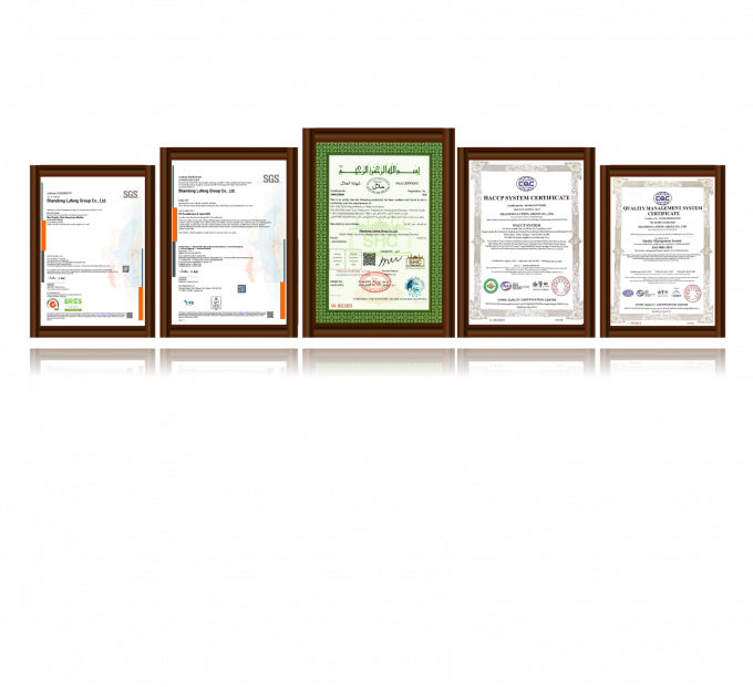 Y&uuml;ksek Kalite Dondurulmuş Kemirgesiz Tavuk G&ouml;ğs&uuml; 3