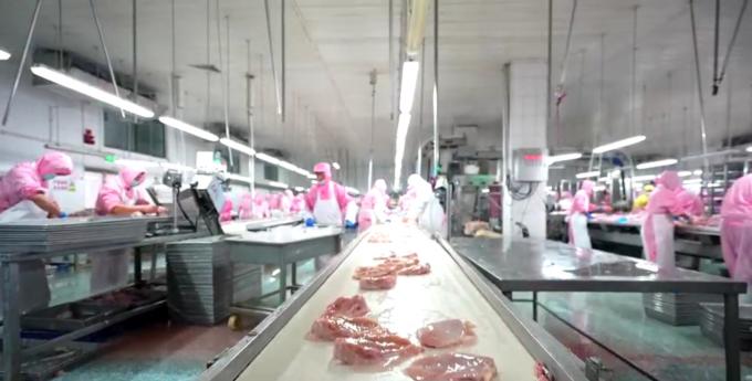 Y&uuml;ksek Kalite Dondurulmuş Kemirgesiz Tavuk G&ouml;ğs&uuml; 6