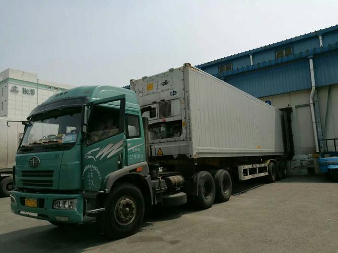 Y&uuml;ksek Kalite Dondurulmuş Kemirgesiz Tavuk G&ouml;ğs&uuml; 10