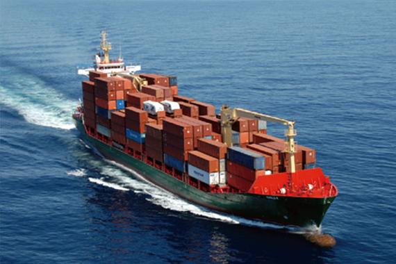 Y&uuml;ksek Kalite Dondurulmuş Kemirgesiz Tavuk G&ouml;ğs&uuml; 11